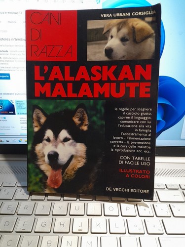 Alaskan malamute cani di - l'alaskan,