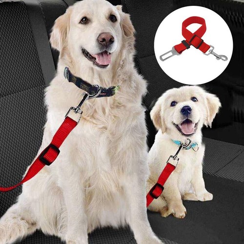 Cintura sicurezza per cani - per,