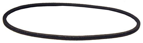 Cinghia rasaerba rotante 10434