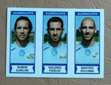 Calciatori Panini 2010-11  N