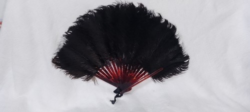 Ventaglio anni piume di - ventaglio,