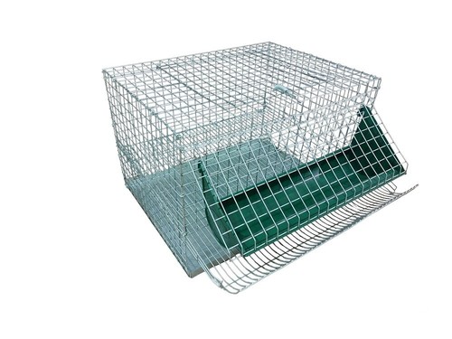 Gabbia per quaglie ovaiole