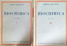 BIOCHIMICA 2 VOLL.  RONDONI