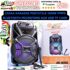 Cassa karaoke Portatile 1000w