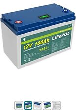 Batteria LiFePo4 12v 100ah 