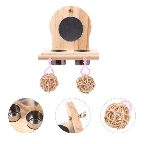 Parrot feed perch bird - parrot,