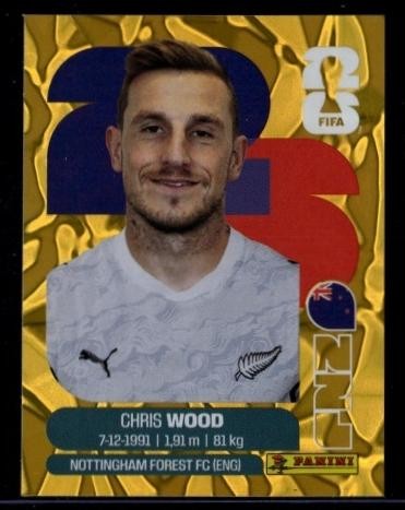 2026 panini world cup - panini,