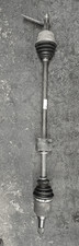 46308161 semialbero ant - semialbero,