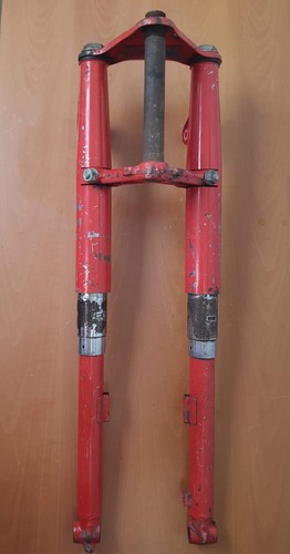 Forcella anteriore