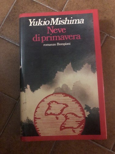 Libro neve primavera y - libro, di