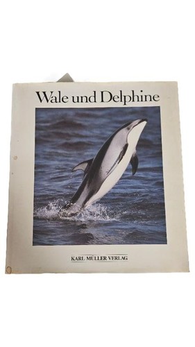 Libro illustrato balene - illustrato:,