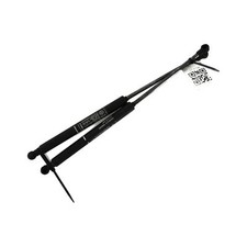 Ammortizzatori Cofano - Lancia