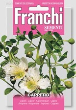 30 Semi / Seeds CAPPERO