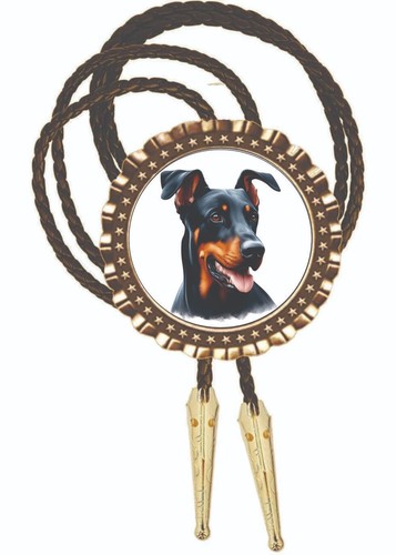 Doberman pincher dog bolo - pincher,