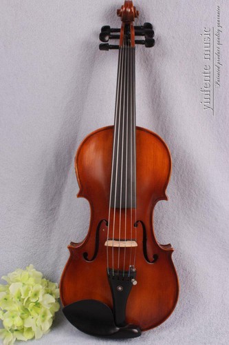 Violino elettrico corde - elettrico,