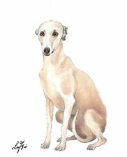 ✤ Dipinto ORIGINALE olio