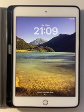 Apple iPad Mini 7.9" 5a