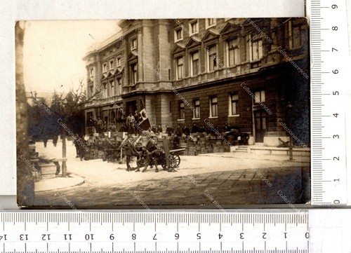 293 fiume arditi - cs,