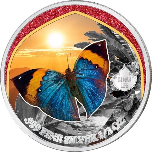 Moneta 2024 camerun indiana - 2024,