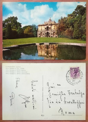 Camigliano villa - camigliano,