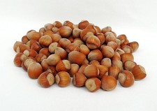 Nocciole con guscio – Crude