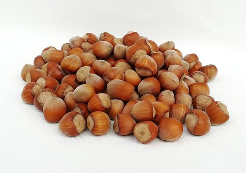Nocciole con guscio crude - –,