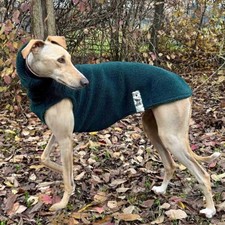 MAGLIA PER CANI LEVRIERI