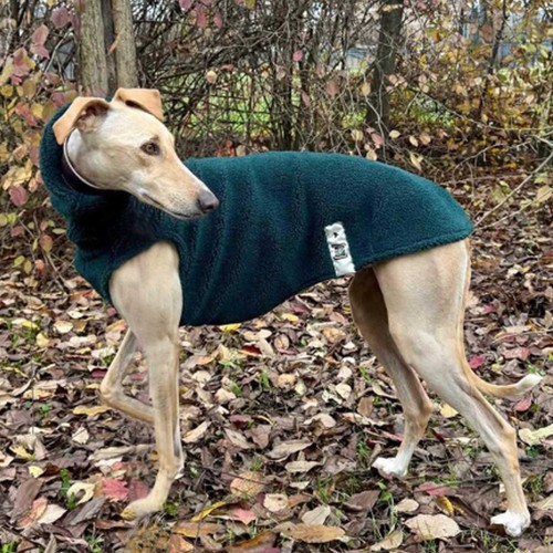 Maglia per cani levrieri - per,