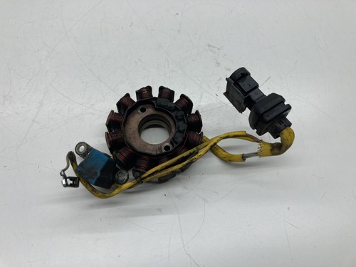 Statore alternatore magnete - alternatore,