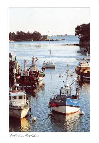 Golfe du - 56-golfe,