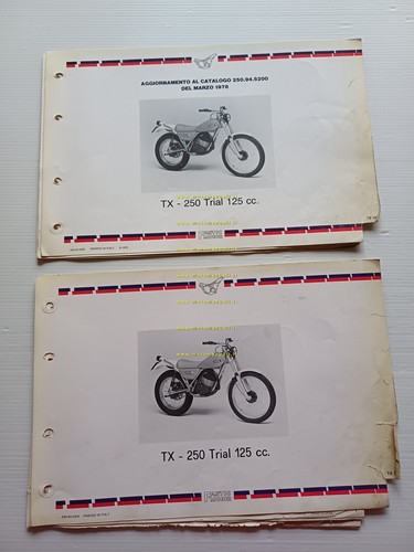 Fantic motor trial 125 250 - 125,
