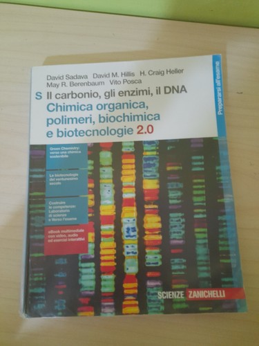 Carbonio gli enzimi il - il,