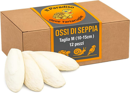 Ossa seppia 12 - cm),