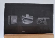 Lotto 12 lastre fotografiche -