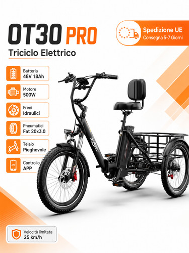Bici elettrica triciclo - elettrica,