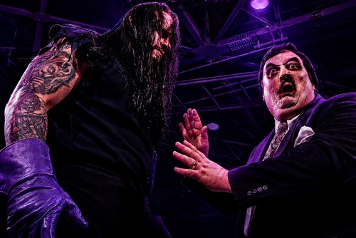 Poster wwe gigante x36 - wwe, 24”x36”