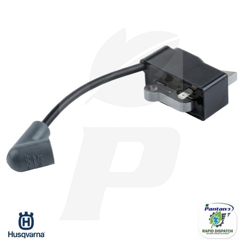 Modulo accensione husqvarna - modulo,