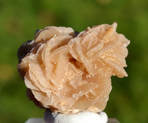 Gypse var desert rose - desert,