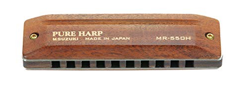 Suzuki harmonica hole - 10,