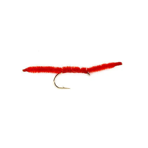 Una dozzina verme rosso - (12),
