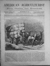 February 1868 American Agriculturist - Southern Mule-Team Engraving
