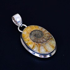 Ammoniti Fossil Gemma Ciondolo