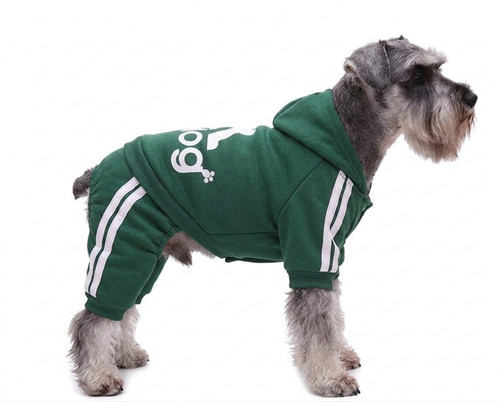 Felpa con cappuccio - , cani