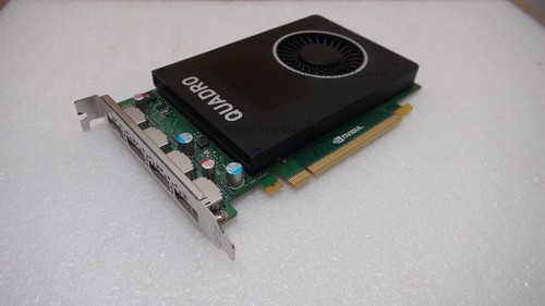 Scheda grafica dell - scheda, nvidia