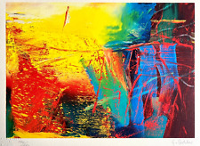 Gerhard Richter litografia COA