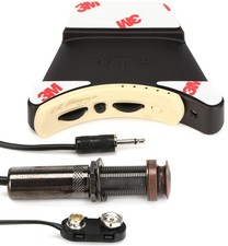 LR Baggs Anthem Soundhole