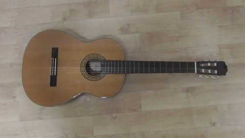 Takamine/Chitarra