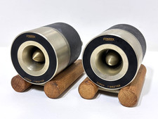 FOSTEX T90A coppia corno super