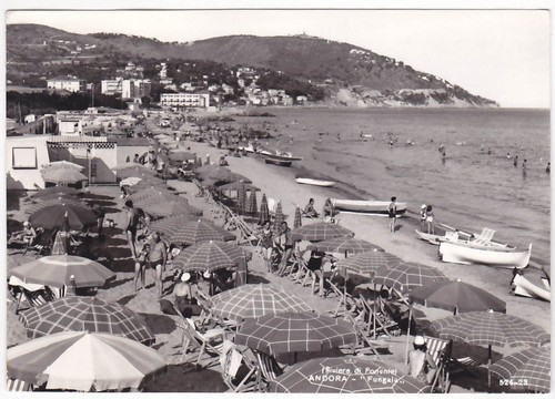 Andora savona fungaia - -,
