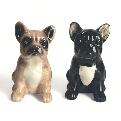 French bulldog salt pepper - salt,